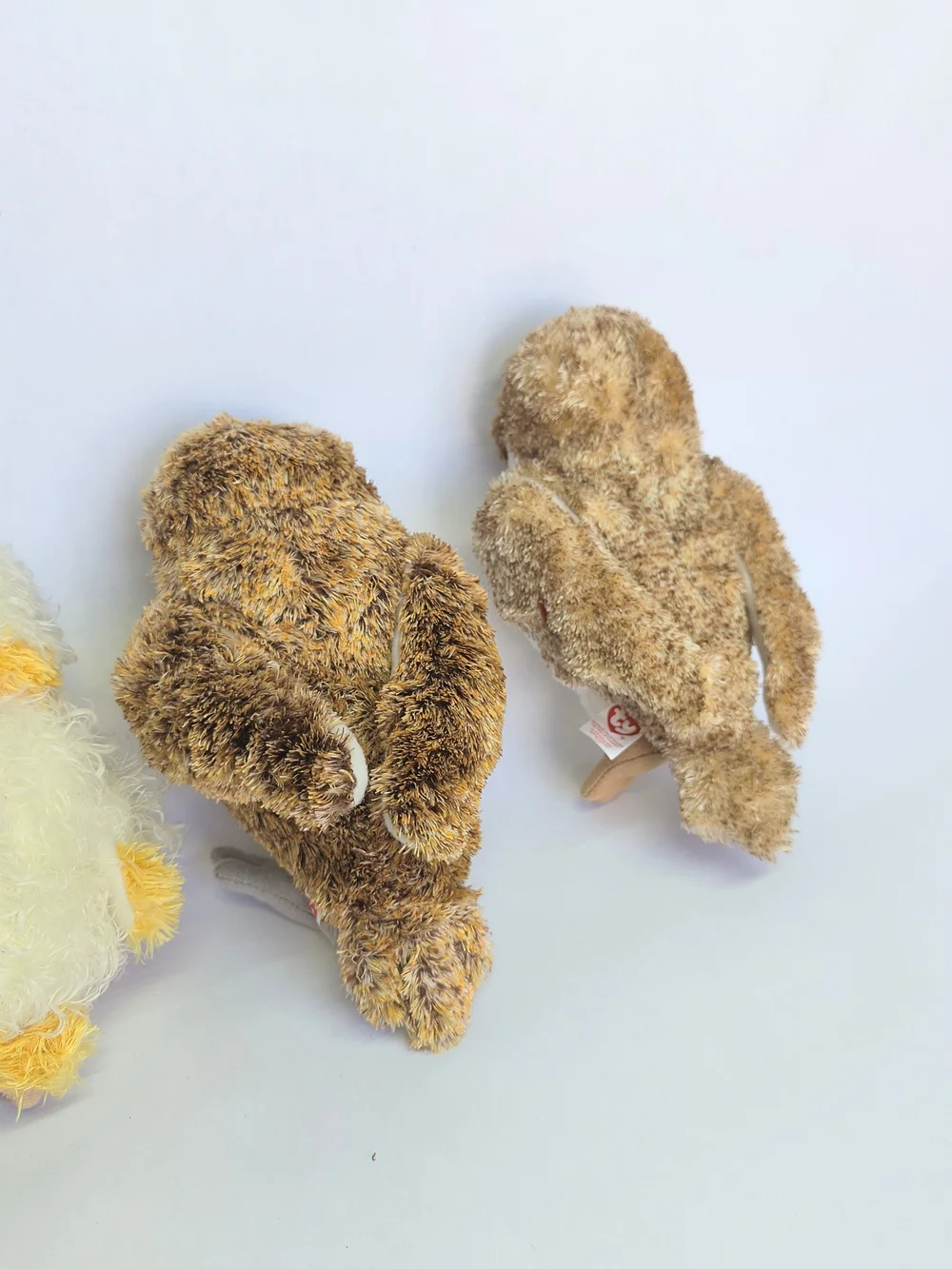 LEGEND OF THE GUARDIANS Owls of Ga'Hoole Soren Eglantine Gylfie Digger Plush TY